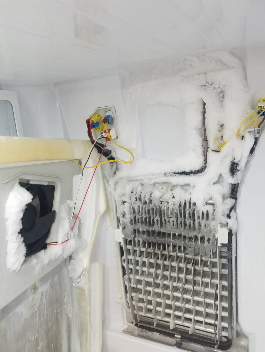 Why Is Your Samsung Fridge Not Cooling? First Troubleshooting Steps To