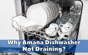 Why Amana Dishwasher Not Draining