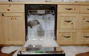 Amana Dishwasher Leaking? Causes, How to Diagnose & Fix It